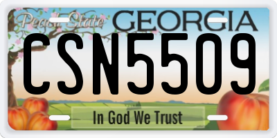 GA license plate CSN5509