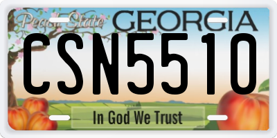 GA license plate CSN5510