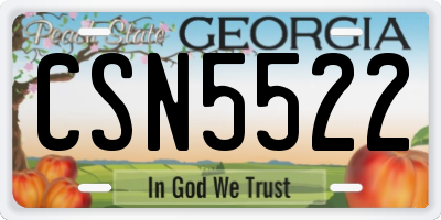 GA license plate CSN5522