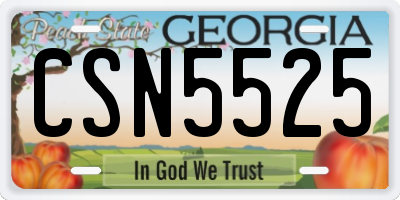 GA license plate CSN5525