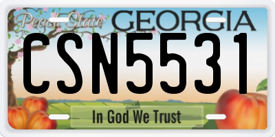 GA license plate CSN5531