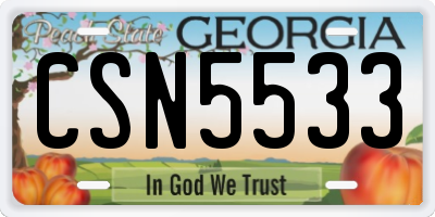 GA license plate CSN5533
