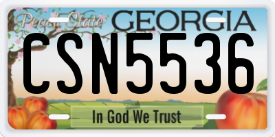 GA license plate CSN5536
