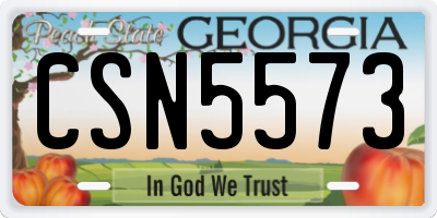 GA license plate CSN5573