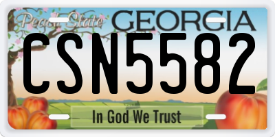 GA license plate CSN5582