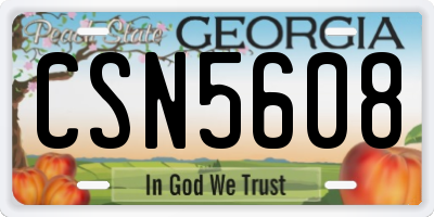 GA license plate CSN5608