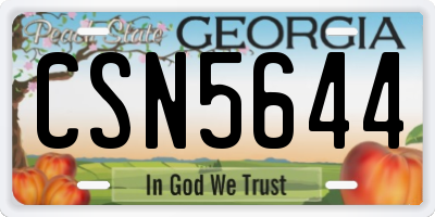 GA license plate CSN5644