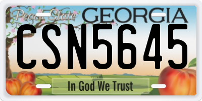 GA license plate CSN5645