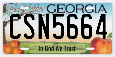 GA license plate CSN5664