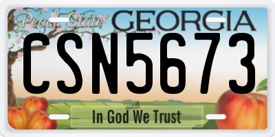 GA license plate CSN5673