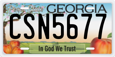 GA license plate CSN5677