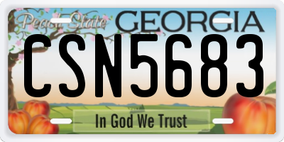 GA license plate CSN5683