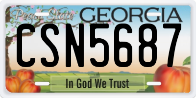 GA license plate CSN5687