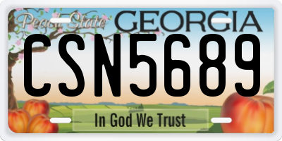 GA license plate CSN5689