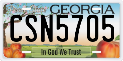 GA license plate CSN5705