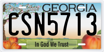 GA license plate CSN5713