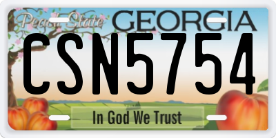 GA license plate CSN5754