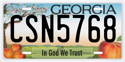GA license plate CSN5768