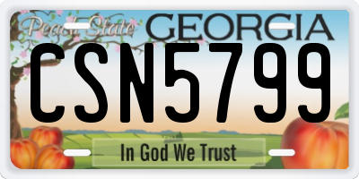 GA license plate CSN5799