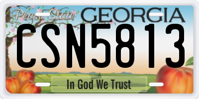 GA license plate CSN5813