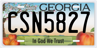 GA license plate CSN5827