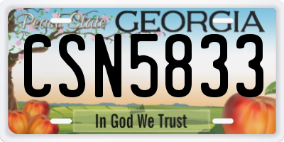 GA license plate CSN5833