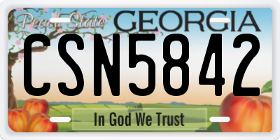 GA license plate CSN5842