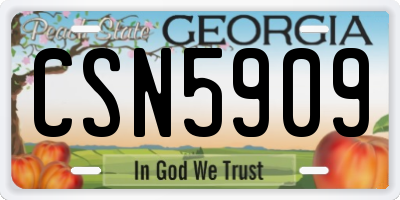 GA license plate CSN5909
