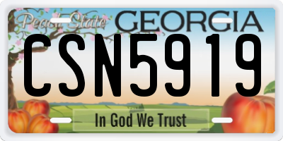 GA license plate CSN5919