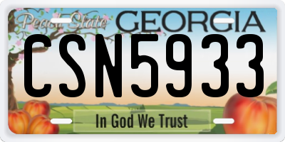 GA license plate CSN5933
