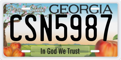 GA license plate CSN5987