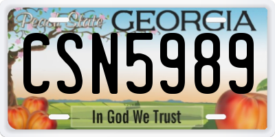 GA license plate CSN5989