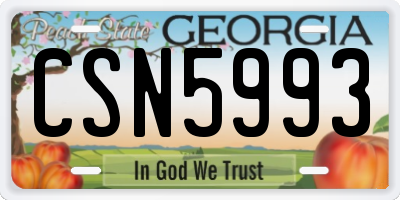 GA license plate CSN5993