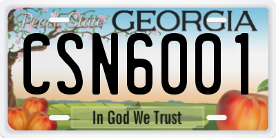 GA license plate CSN6001