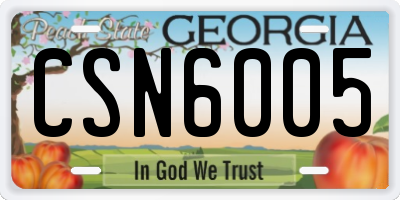 GA license plate CSN6005