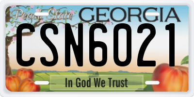 GA license plate CSN6021
