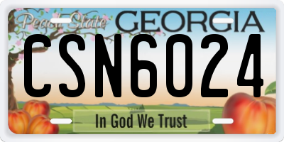GA license plate CSN6024