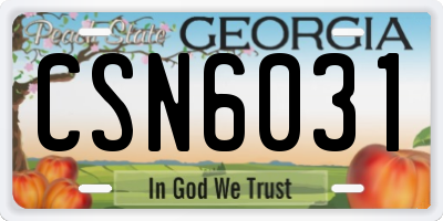 GA license plate CSN6031