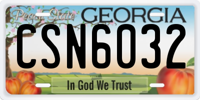 GA license plate CSN6032