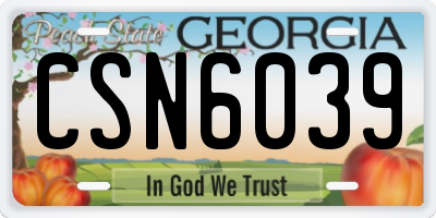 GA license plate CSN6039