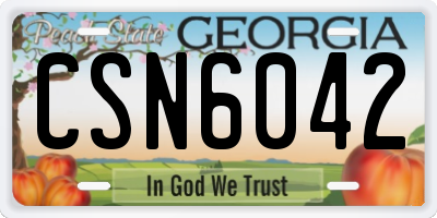 GA license plate CSN6042