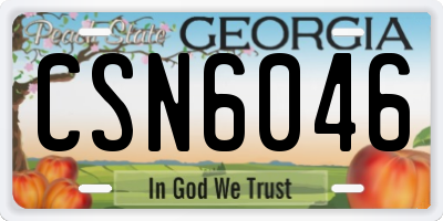 GA license plate CSN6046