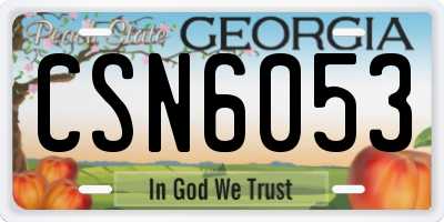 GA license plate CSN6053