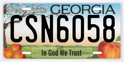GA license plate CSN6058