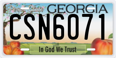 GA license plate CSN6071