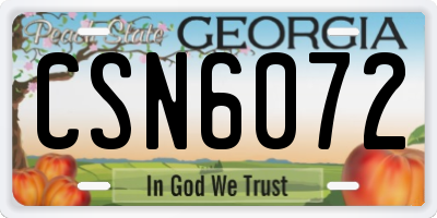 GA license plate CSN6072