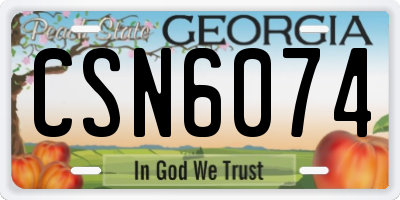 GA license plate CSN6074