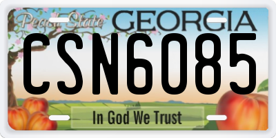 GA license plate CSN6085