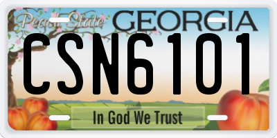 GA license plate CSN6101