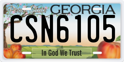 GA license plate CSN6105